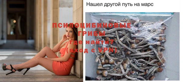 трава Краснослободск