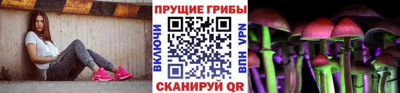 Псилоцибиновые грибы Psilocybine cubensis  Купить  Аркадак 